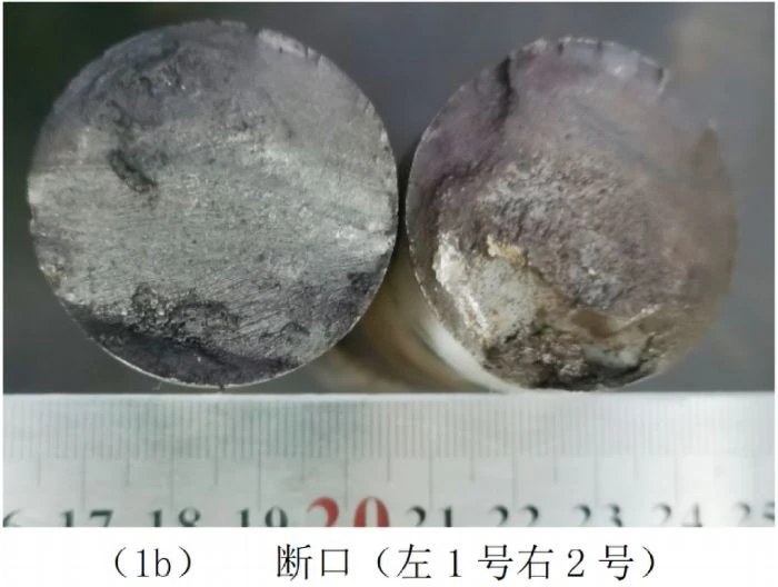 Fracture Detection suppliers